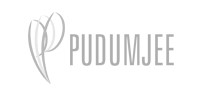Pudumjee
